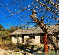 A family house in Nové Hony with bare trees and a stone path under a blue sky.