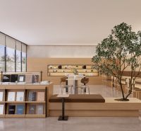 Modern interior with minimalist furniture and a large number of books in apartment developments.