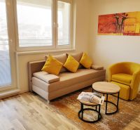 Living room in a one-room apartment with a wood-patterned floor, a sofa, and a yellow armchair.