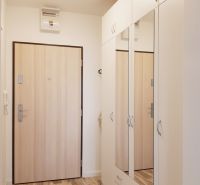 A hallway in a one-room apartment with a wooden decor floor and a white wardrobe.