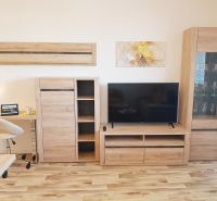 A one-room apartment with furniture in wood decor and flooring with a wooden pattern.