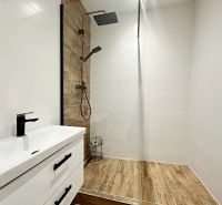 Bathroom with a shower and a sink, floor with wood decor in a 3-room apartment.