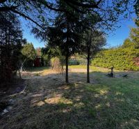Gardens in Lozorno with a grassy area, trees, and a red garden house.