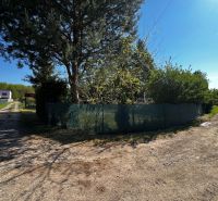 A dirt road and trees surround gardens in Lozorno under a blue sky.