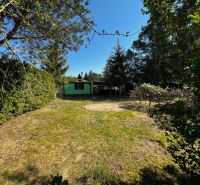 A garden in Lozorno with a small house surrounded by greenery and trees, blue sky.