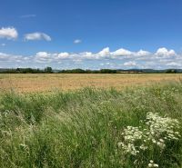 Plots - housing in Krtovce, vast fields and nature on the horizon.