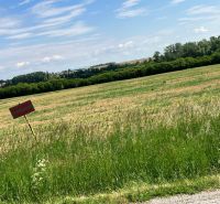 Land - housing in Krtovce: vast green fields under a blue sky.