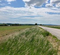 Land in Krtovce suitable for residential plots, with a view of the surrounding nature.