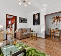 Living room in a two-room apartment with a sofa, table, and wooden decor flooring.