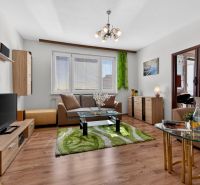 Living room in a two-room apartment with a sofa, wood-patterned flooring, and decorations.