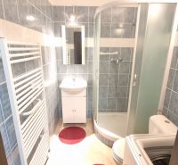 A bathroom with blue tiles, a shower corner, and a washing machine in a studio apartment.