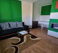 Living area in a studio apartment with a sofa, carpet, and wood-patterned flooring.