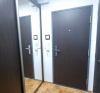Entrance hallway with a mirrored wardrobe and dark doors in a studio apartment.