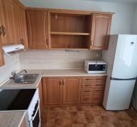 A kitchen in a one-room apartment with wooden cabinets, a microwave, and a white refrigerator.