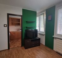 A one-room apartment with a television, green walls, and a floor with a wooden decor.