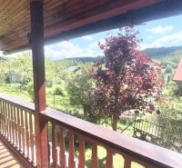 View from the cottage on Bukovská Road in Čadca, surrounded by greenery and trees.