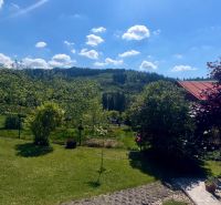 A garden by the cottage on Bukovská Road in Čadca with a view of the forest horizon.