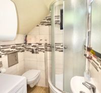 A bathroom in a cabin with a modern shower and a wooden decor floor.