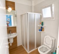 Bathroom in a one-room apartment with a sink, mirror, and shower corner.