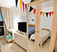A room with a TV, bed, mirrored wardrobe, and colorful flags in a studio apartment.