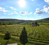 Vineyards and hills around Bratislava - Nové Mesto on Jurská, sunny day.