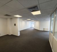 Offices with carpet, white walls, suspended ceiling, partitions with glass, elongated space.