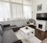 Living room with a comfortable sofa, fireplace, and wooden decor flooring in a two-room apartment.