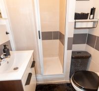 Compact bathroom with a sink, shower, and toilet in a 2-room apartment.