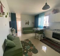 A bright interior of a one-room apartment with a kitchenette and a green sofa.