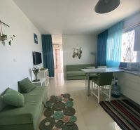 A bright interior of a 1-room apartment with comfortable green furniture and decorative elements.
