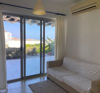 Living room in a two-room apartment with a view of the terrace and garden.