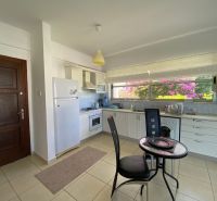 A kitchen in a 2-room apartment with a dining table and a view of flowers.
