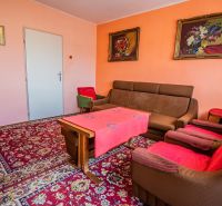 Living room in a two-room apartment with a red carpet and brown furniture.