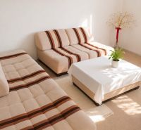 Living room in a 3-room apartment with light sofas and a decorative plant.