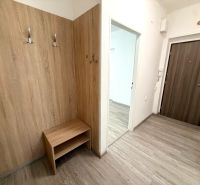 Entrance hallway in a 2-room apartment with a wooden decor floor and wall hooks.
