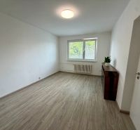 A room in a 2-room apartment with a wooden decor floor and a cabinet.