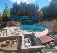 In the garden of the cottage in Holíč, there is a pool with a ceramic tile lining.