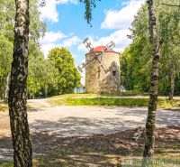 In Holíč, there is an old windmill surrounded by greenery and birch trees.