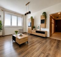 Living room in a 3-room apartment with a wooden decor floor and houseplants.