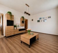 Living room of a three-room apartment with decorative wood and wood-patterned flooring.
