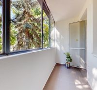 Glazed loggia with greenery and a flower pot in a 4-room apartment.