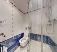 Bathroom with a shower and toilet in a 4-room apartment.