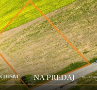 Plots - housing in Mliečany, Dunajská Streda, bordered by lines.