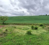 A vast green landscape near a family house in Stará Bašta with a field and trees.