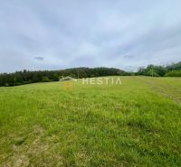A vast green meadow near the forest in the vicinity of family houses in Myjava.