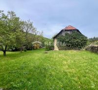 A family house in Myjava surrounded by trees and a lawn in a rural garden.