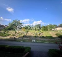 The garden in front of the house with a bench and greenery in Moravské Lieskové.