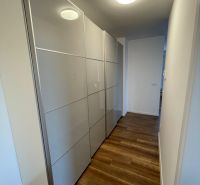 A hallway with a built-in wardrobe and flooring with a wood decor in a 2-room apartment.