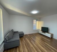Living room in a two-room apartment with a wooden decor floor, a sofa, and a television.
