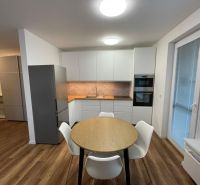 A kitchen in a 2-room apartment with a wood-patterned floor and built-in appliances.
